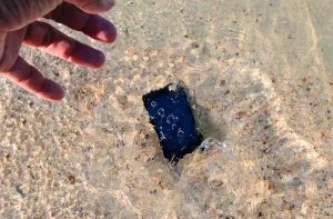 Lire la suite à propos de l’article Que faire si votre téléphone est tombé dans l’eau ? Nos conseils pour sauver votre appareil
